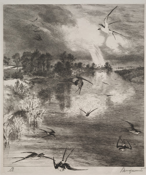 Swallows 1882
