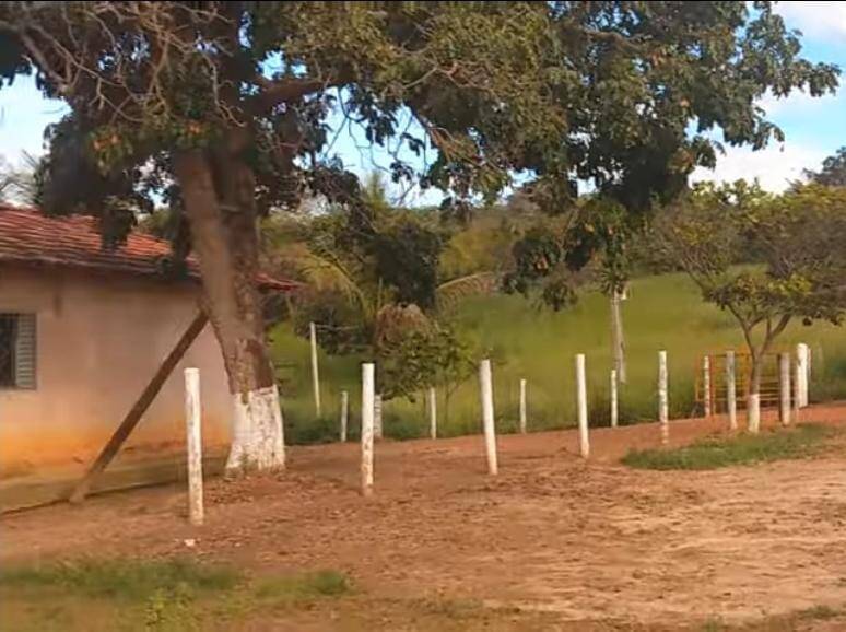 Fazenda em São Miguel do Passa Quatro-GO 7