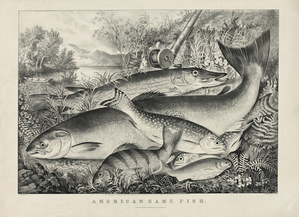 American game fish 1866