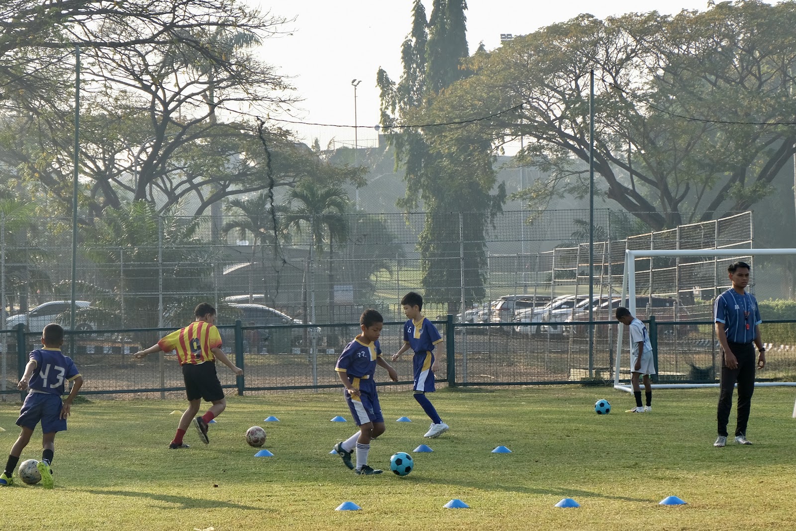 Tigers Academy gallery photo