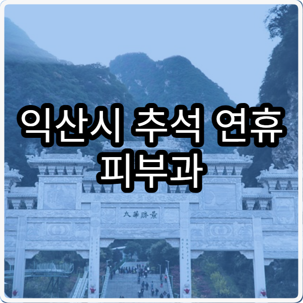 익산시 추석 연휴 피부과 진료 병원 열리는 곳 정리