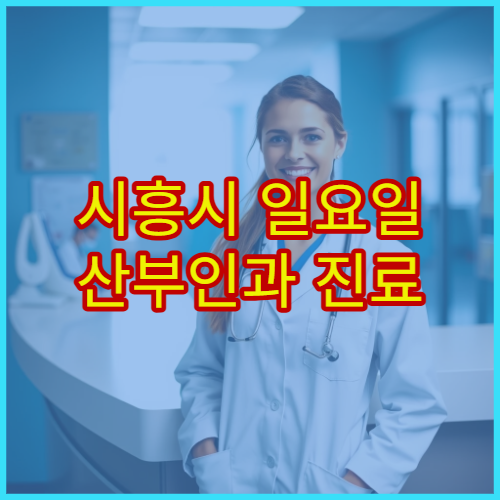시흥시 일요일 산부인과 진료 병원 여성질환·산전검사 상담 가능