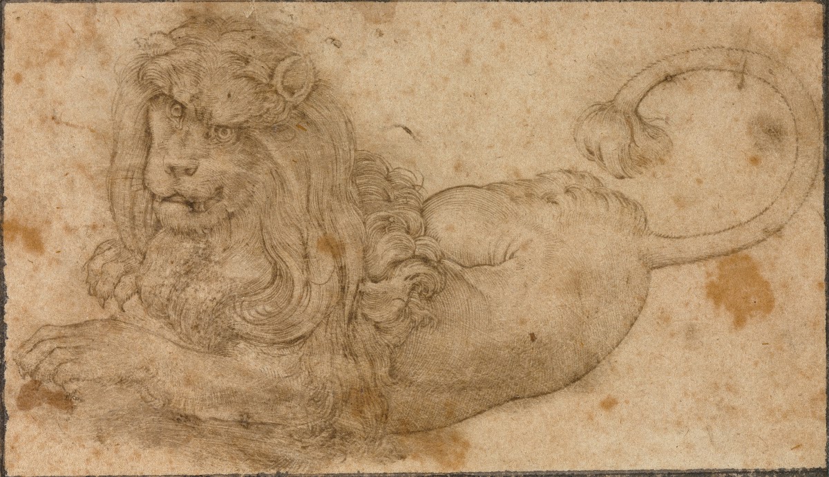 Study of a Lion 1509