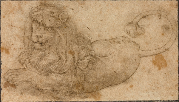 Study of a Lion 1509