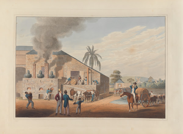 Exterior of Curing House and Stills 1823