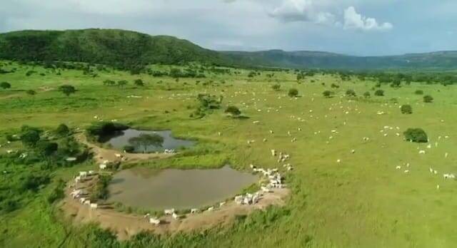 Fazenda em Alvorada do Norte-GO 6