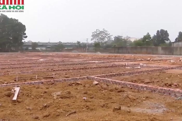 Cao Bằng: Đất ở bao nhiêu m2 địa phường này mới được tách sổ đỏ theo quy định 2026 - Chuyên trang Gia Đình &amp; Xã Hội - Báo Sức khỏe &amp; Đời sống