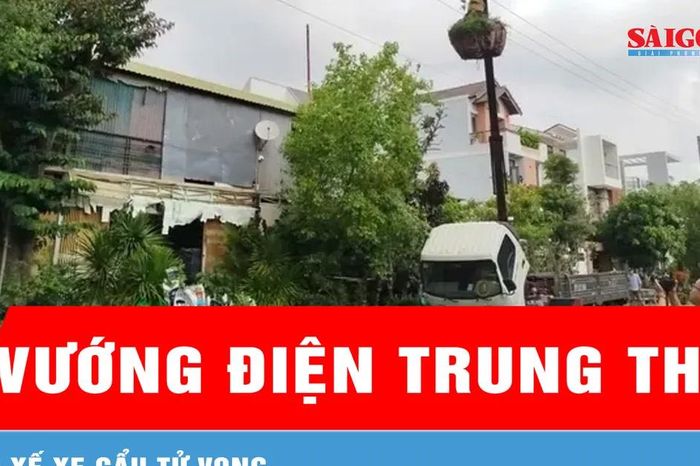 Lâm Đồng: Cẩu cây cảnh vướng điện trung thế, tài xế tử vong - Báo Sài Gòn Giải Phóng