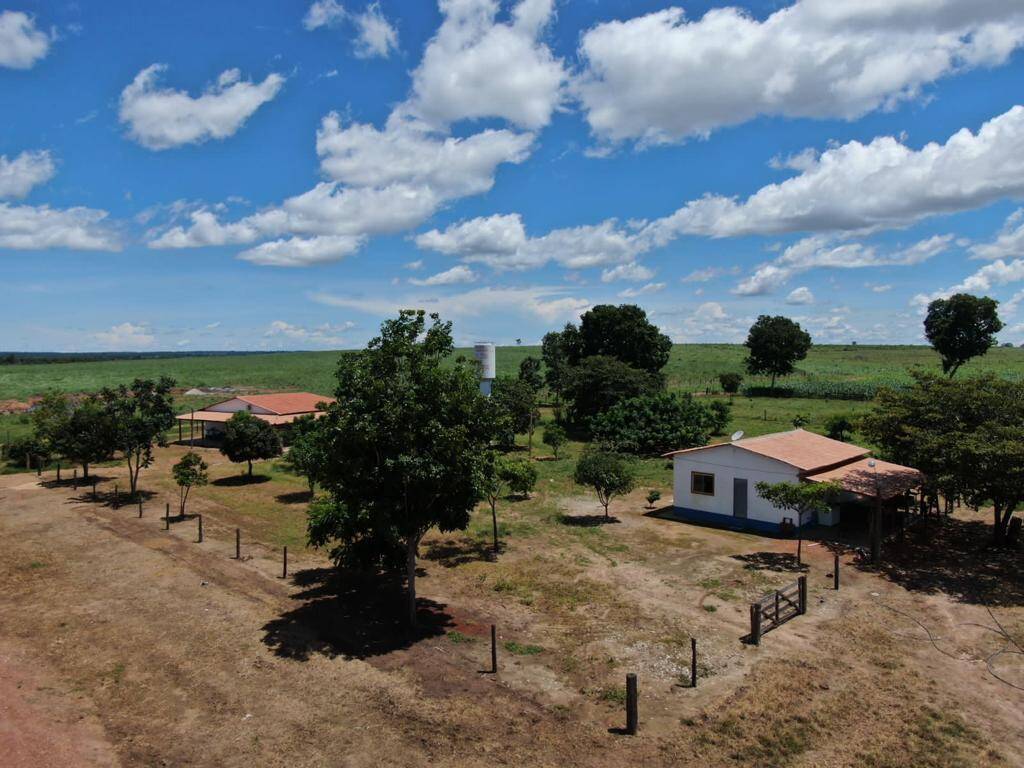 Fazenda no Município de Nova Crixas - GO. 9