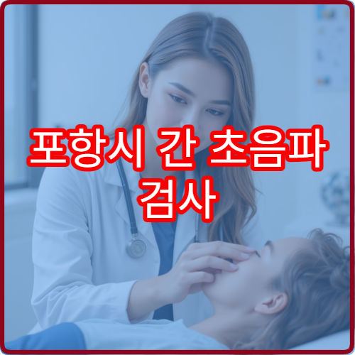포항시 간 초음파 검사 지방간·간질환 조기 진단 내과 병원