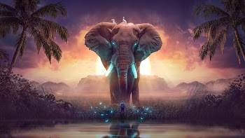 Elephant Art Wallpaper