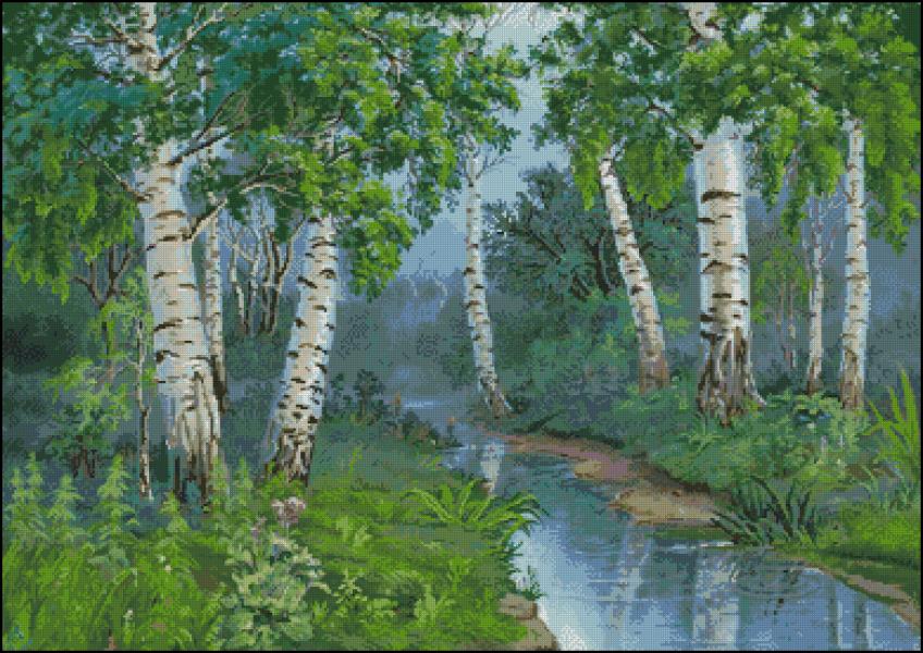 CMP 320439 Birches