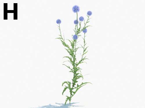 Maxtree - Plant Models Vol.3