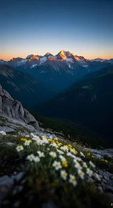 Mountain Avens Flowers with Golden Alpine Sunrise Peaks
