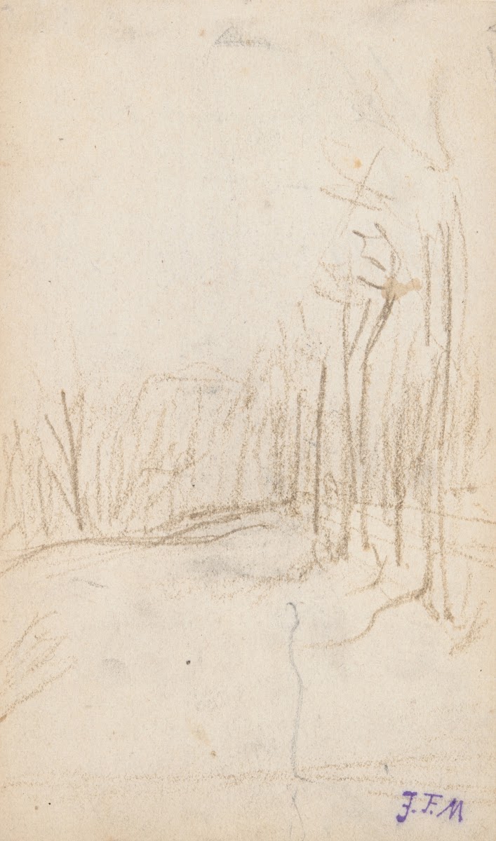 WoodlandClearing ca185055