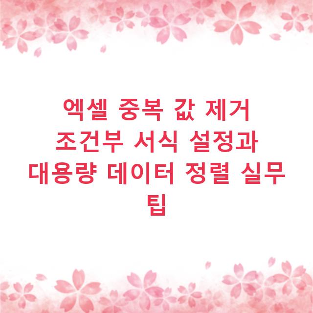 엑셀 중복 값 제거 조건부 서식 설정과 대용량 데이터 정렬 실무 팁