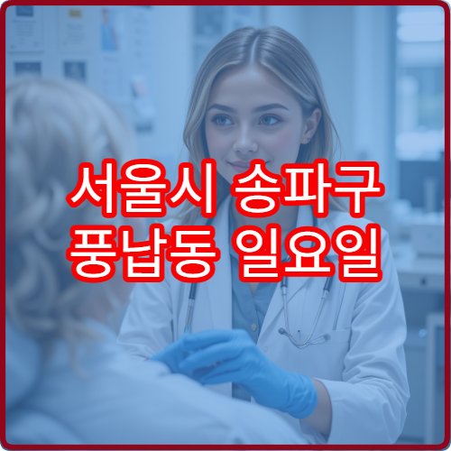 서울시 송파구 풍납동 일요일 내과 진료 병원 주말 진료 가능