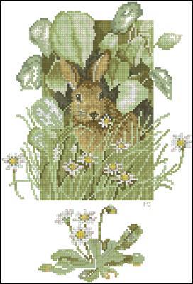 CMP 400859 Pattern
