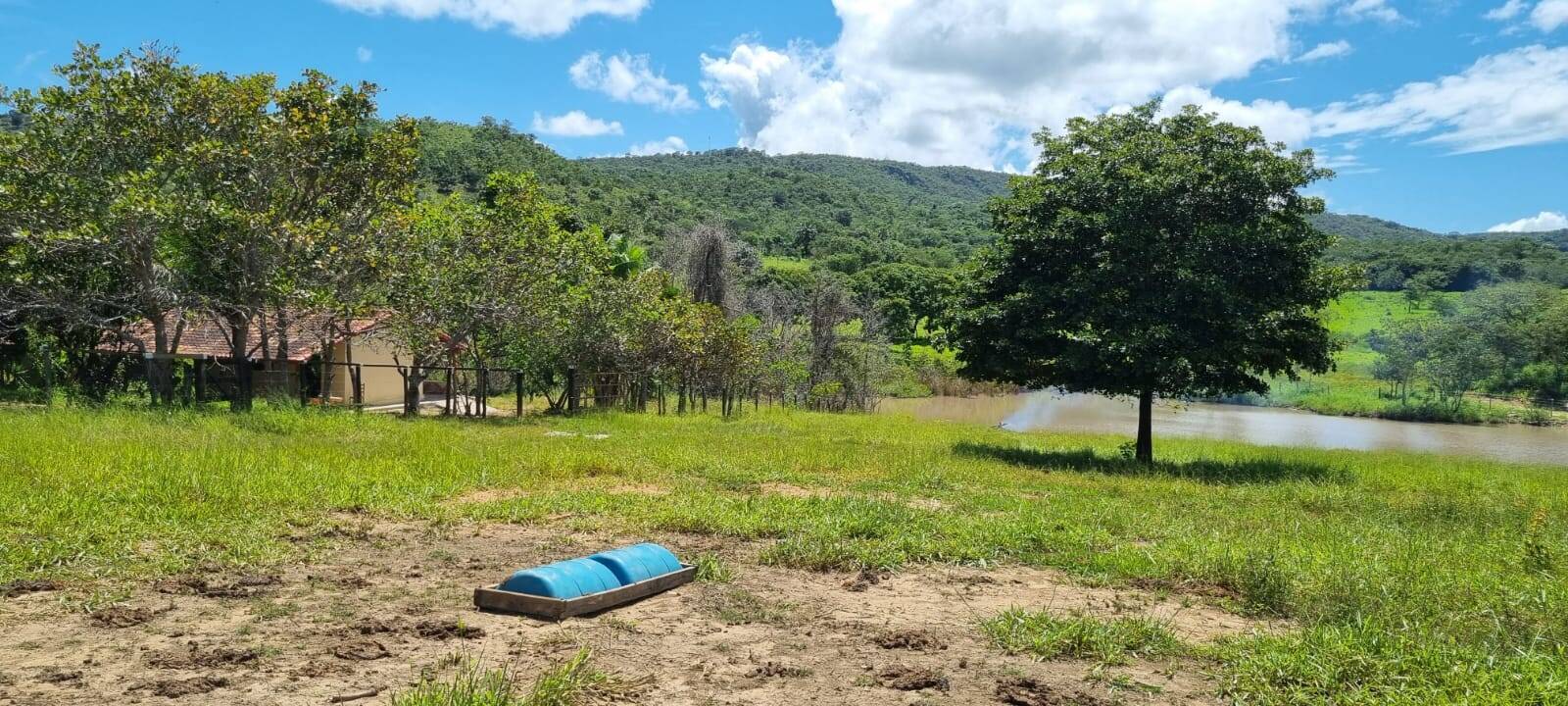 Chácara em Jaraguá-GO 5