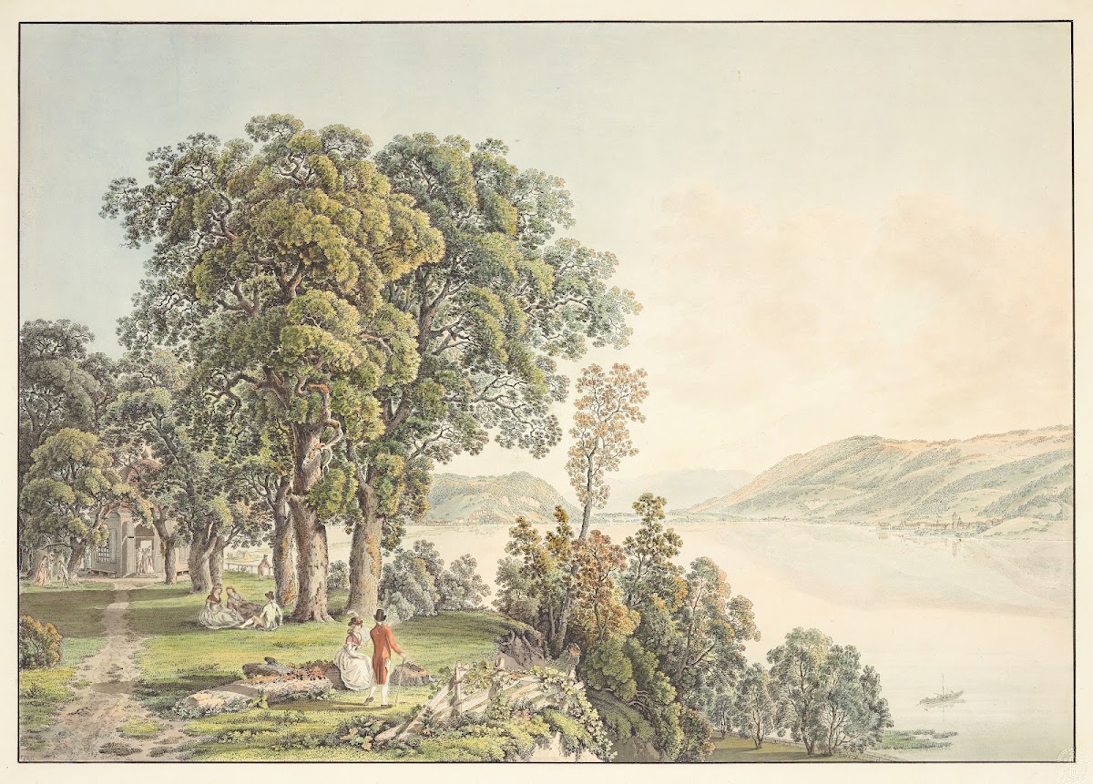 Vue sur le Lac de Bienne prise de lIsle de St Pierre dans le Canton de Berne 191