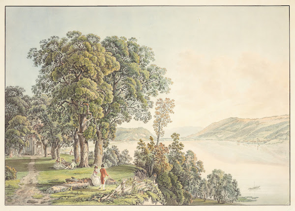 Vue sur le Lac de Bienne prise de lIsle de St Pierre dans le Canton de Berne 191