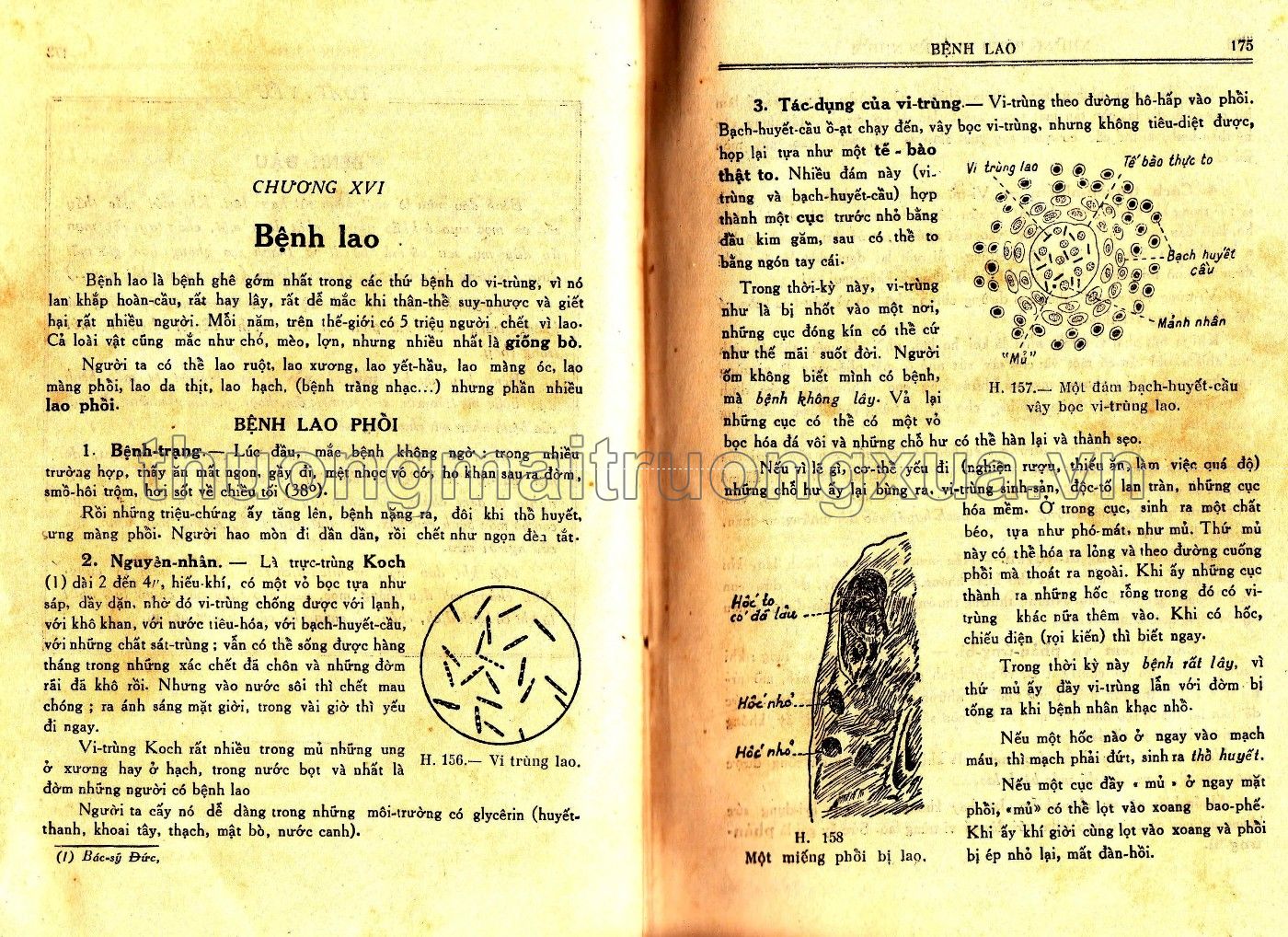 Vạn vật học lớp đệ tứ (1959) - Trang 88