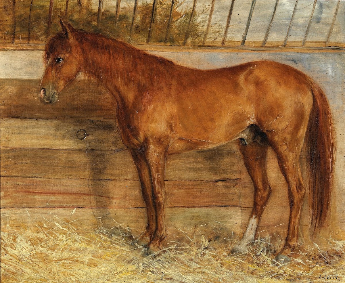 A Fox in a Stable