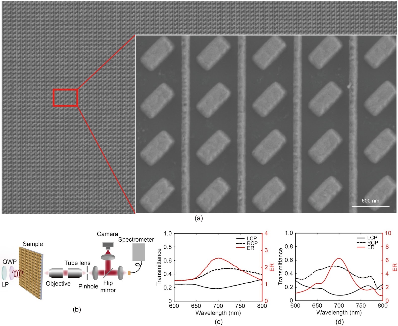Single-layer chiral metasurface for circularly polarized light detection