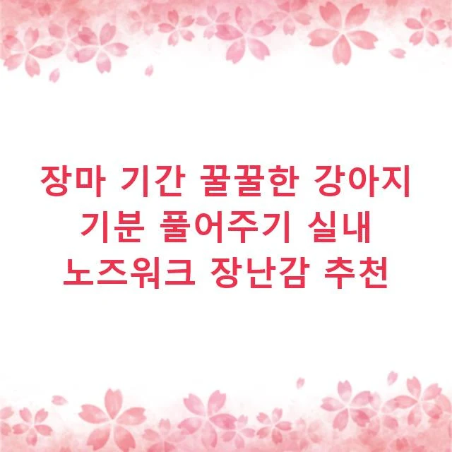 장마 기간 꿀꿀한 강아지 기분 풀어주기 실내 노즈워크 장난감 추천
