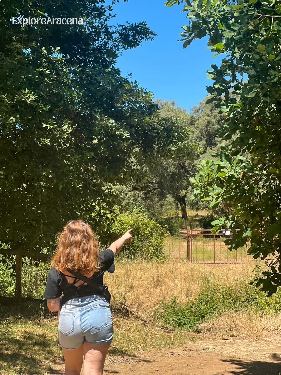 Woman walking beneath the trees on a countryside path near Marimateos and Aracena.