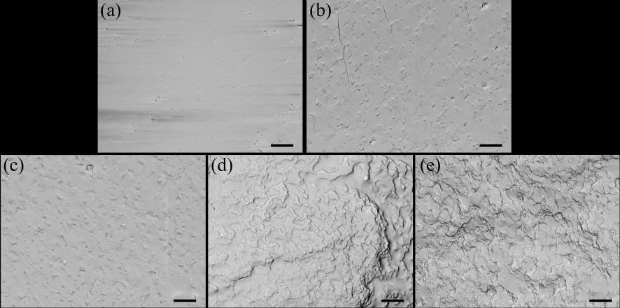 Cardo poly (ether sulfone) toughened E51/DETDA epoxy resin and its carbon fiber composites