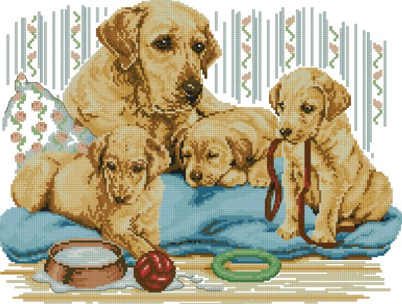 CMP PCE810 Golden Labrador Family