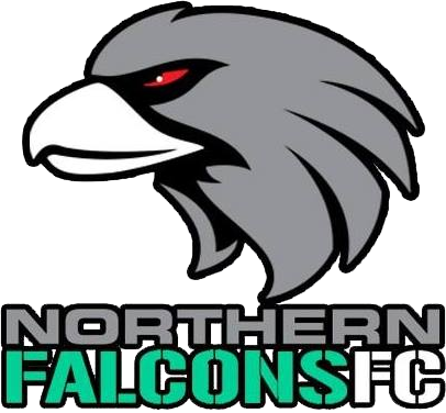Northern Falcons logo