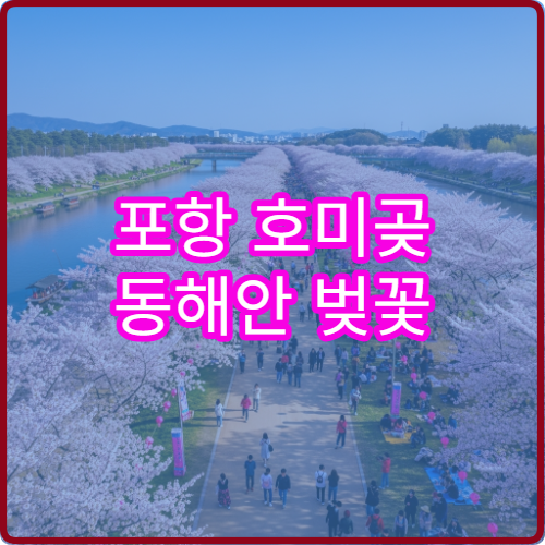 포항 호미곶 동해안 벚꽃 드라이브 바다 일주도로 초보 완벽 루트