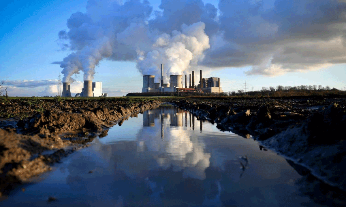 Cambio climático y sostenibilidad: La formación global que prepara líderes ambientales