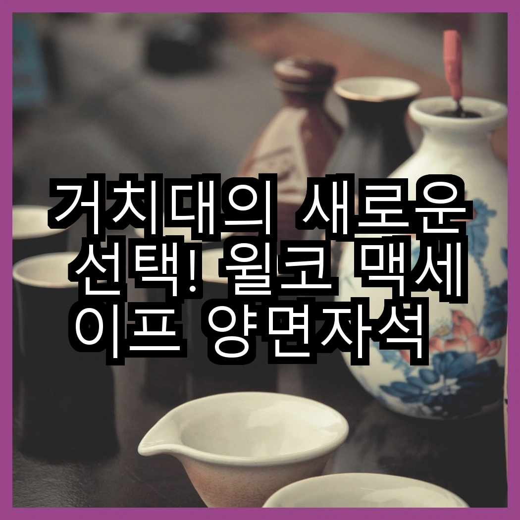거치대의 새로운 선택! 윌코 맥세이프 양면자석 그립 스마트 톡 거치대 vs 신지모루 오그랩엑스 차량용 고속 무선충전 핸드폰 거치대, 어떤 차이가 있을까요? 썸네일