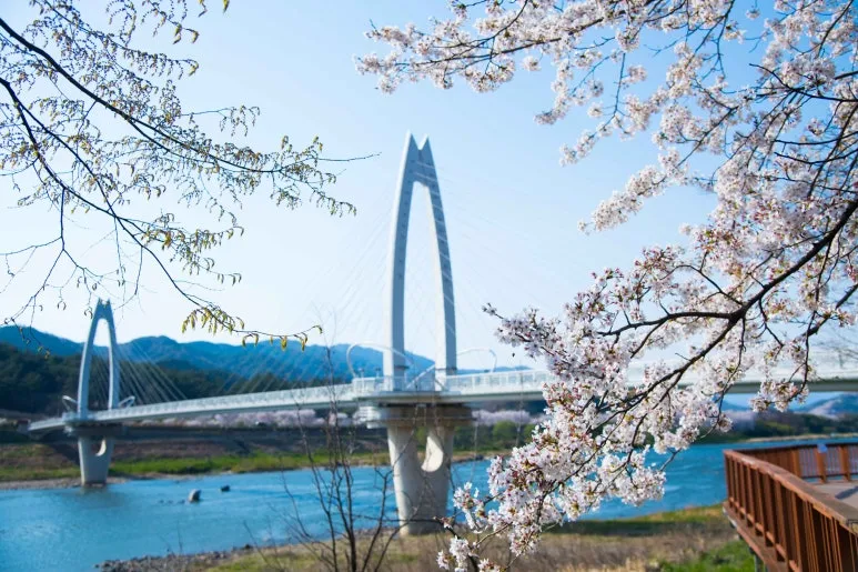 사진제공 ©포토코리아 라이브스튜디오📷촬영 시기: 2019. 4.