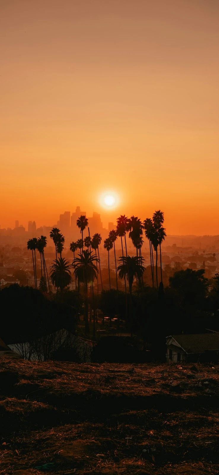 Sunset Over Los Angeles Skyline - Landscape Photography 5K iPhone Wallpaper (3046x6599)