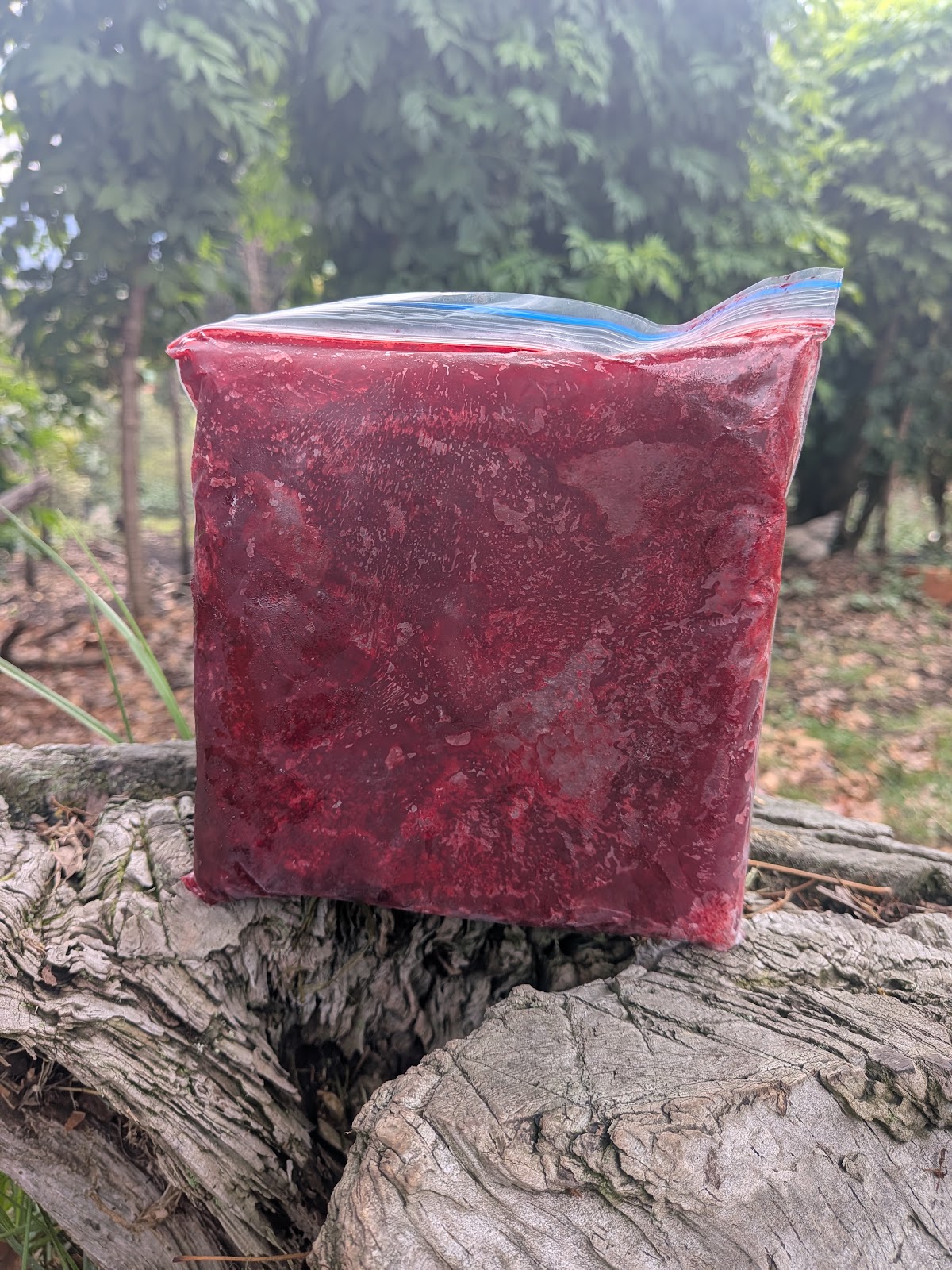 Comprar pulpa de frambuesa orgánico