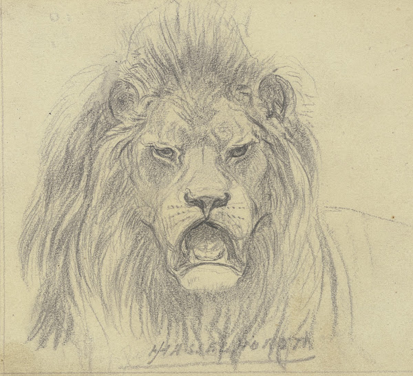 Lions head