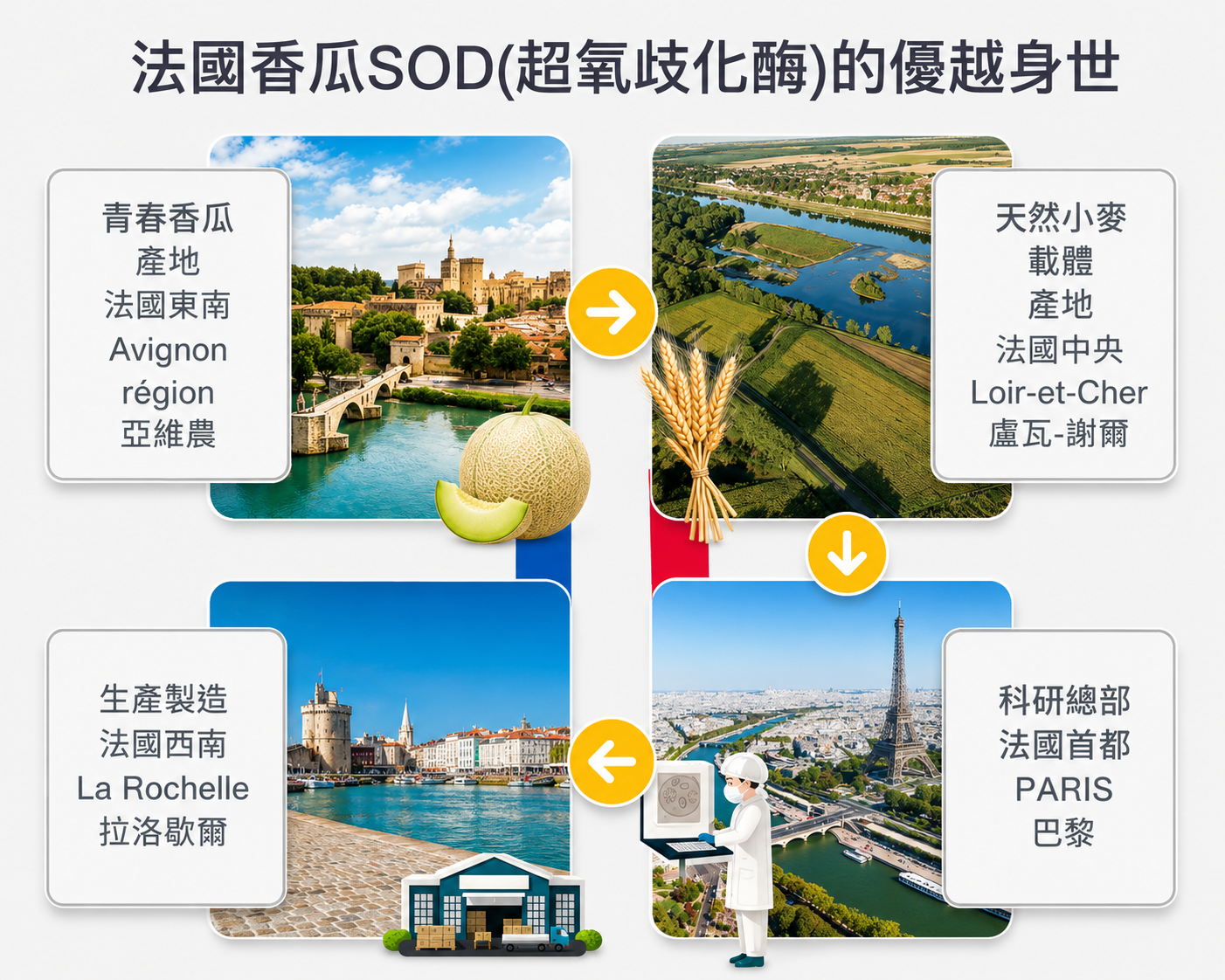 英國 VitaminD3V 藻類來源天然萃取說明