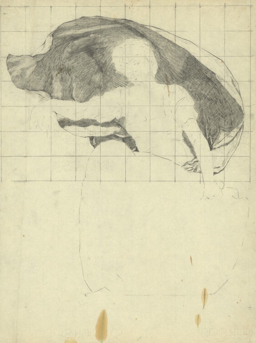 Astronomy 1896