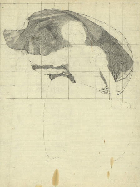 Astronomy 1896