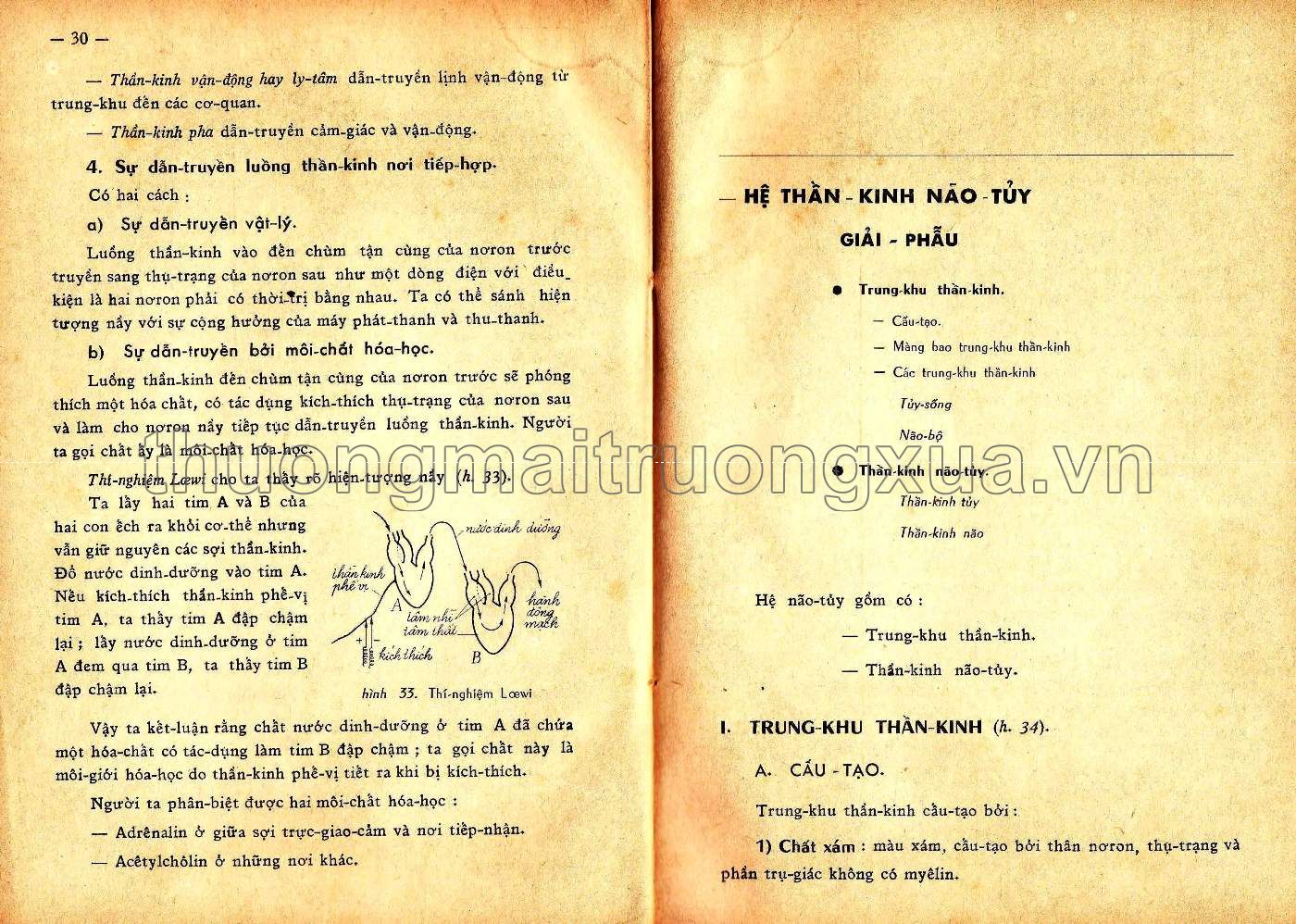 Vạn vật học đệ nhất BCD (1963) - Trang 15