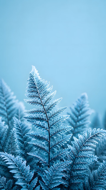 Frosted blue fern fronds rise from the lower frame against a soft cyan background.