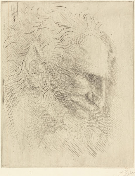 Study for the Head of a Man Etude de tete dhomme