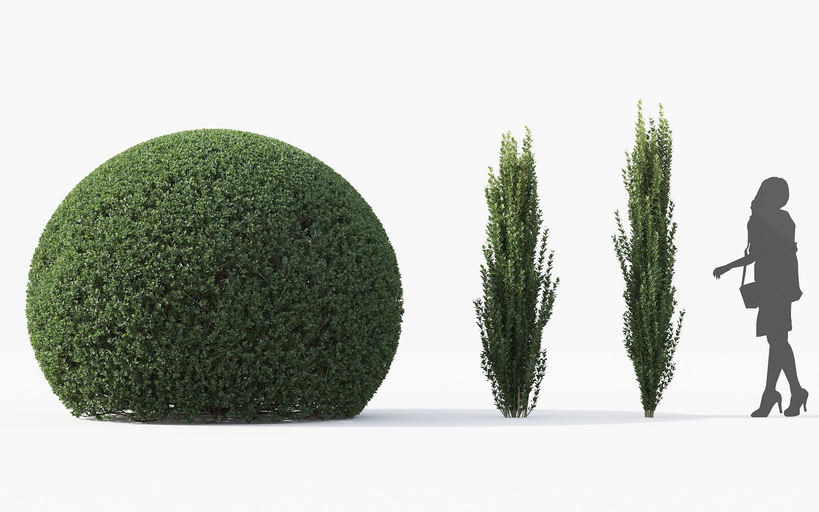 Maxtree - Plant Models Vol.28