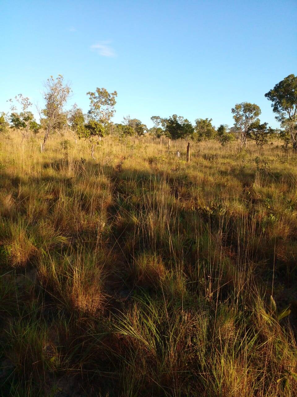 Fazenda em Rio Sono - TO 10