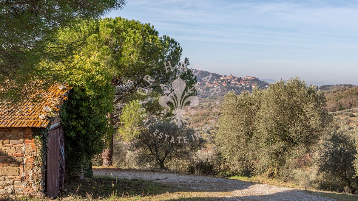 הפוג'יו דגלי אוליבי (Il Poggio degli Ulivi) — 14