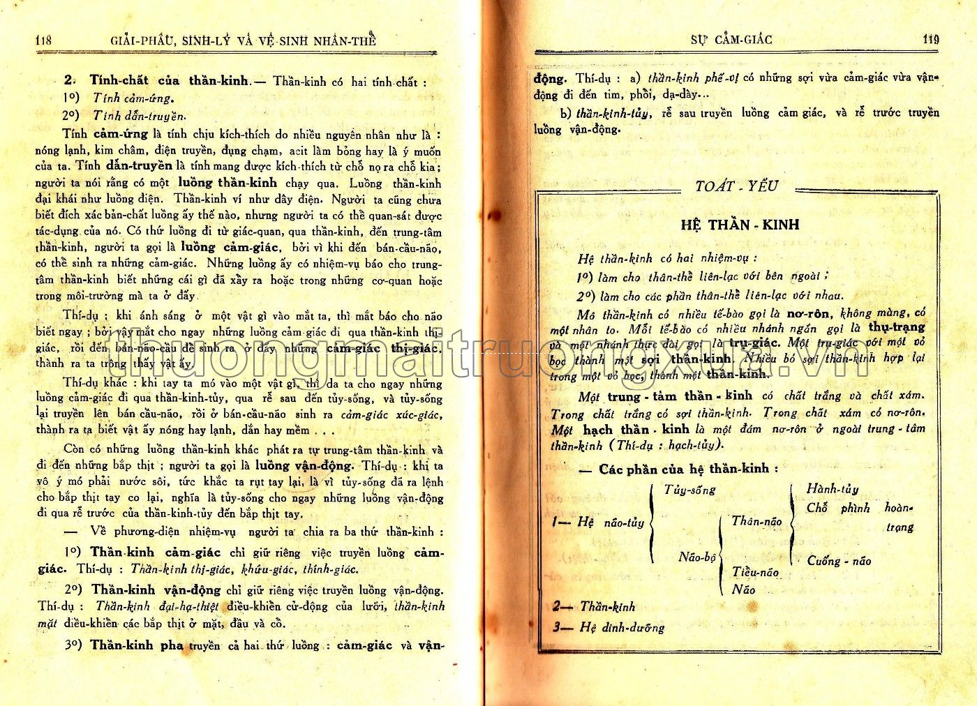 Vạn vật học lớp đệ tứ (1959) - Trang 60